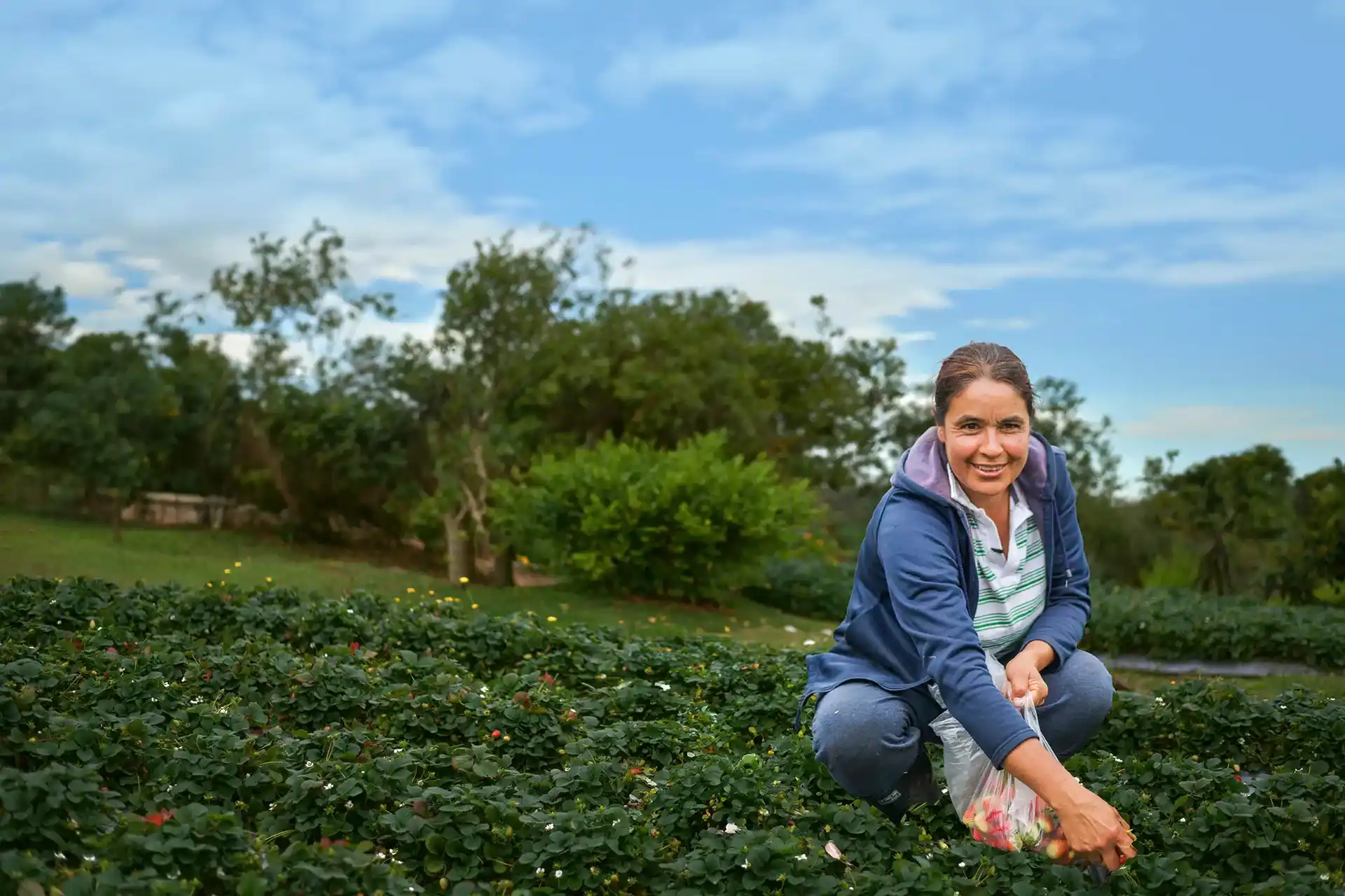 Más de 20 mil productores en todo Colombia